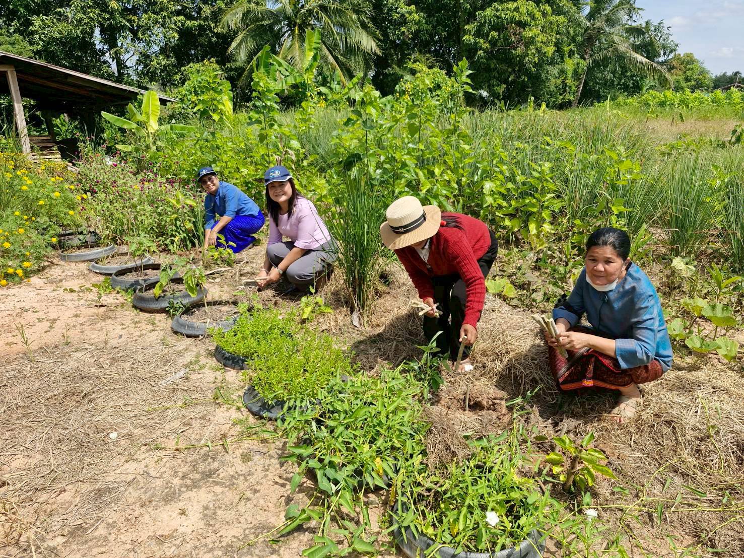 พช.ปราสาท ร่วมดำเนินกิจกรรมการขยายผลการปลูกหม่อน เนื่องในวันรักต้นไม้แห่งชาติประจำปี 2568 ( Nation Annual Tree Care Day) 